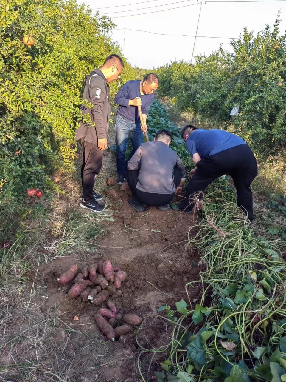 澳门六合彩开奖结果